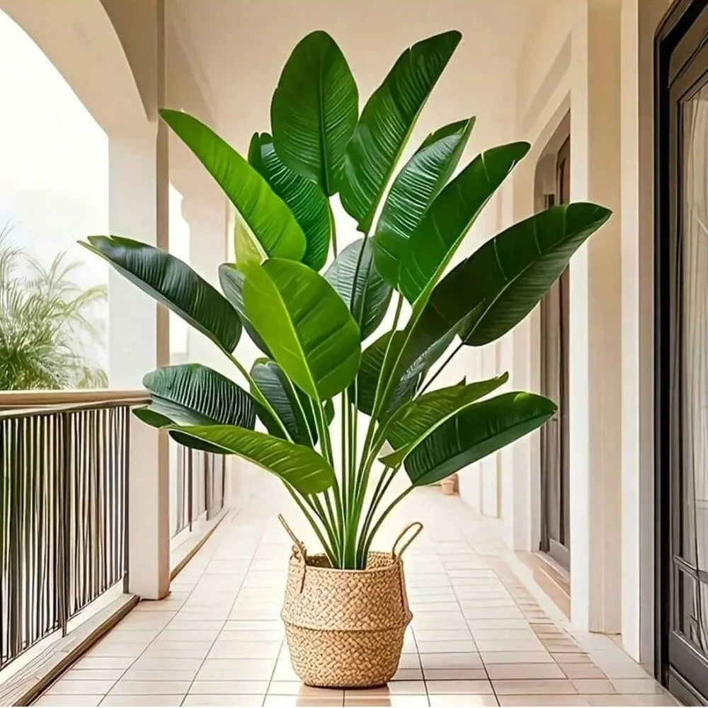 Ficus Lyrata Tree - 1 Buah 18 Daun Tanaman Buatan