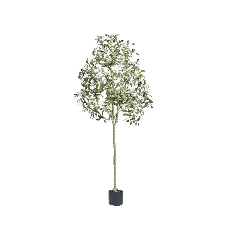 Ficus Lyrata Tree - Pohon Zaitun Buatan SucceBuy Tinggi 4/5/6