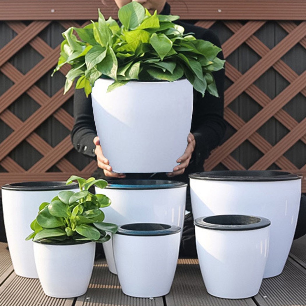 Aloe Vera Pot - Pot tanaman bunga imitasi, Pot bunga