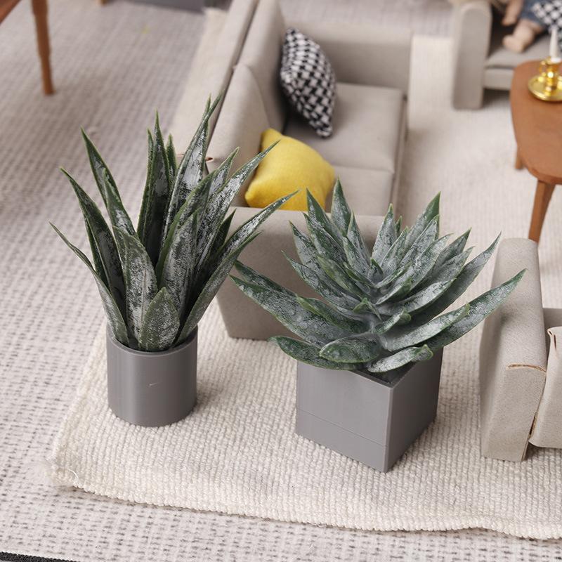 Ornamen Tanaman Lidah Buaya Mi - Aloe Vera Pot ulasan dan harga