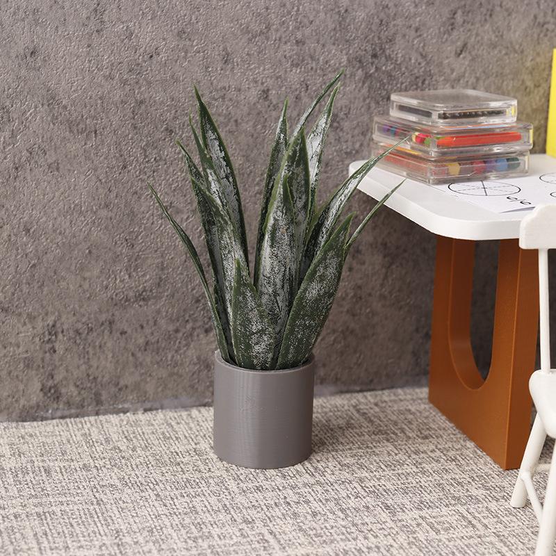 Ornamen Tanaman Lidah Buaya Mi - Aloe Vera Pot ulasan dan harga