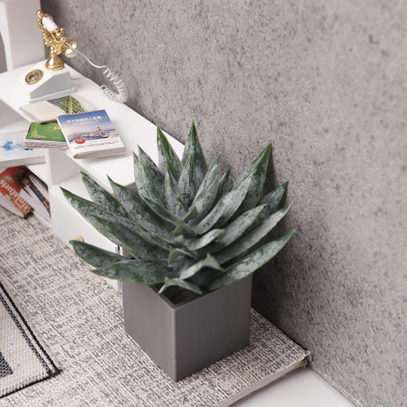 Ornamen Tanaman Lidah Buaya Mi - Aloe Vera Pot ulasan dan harga