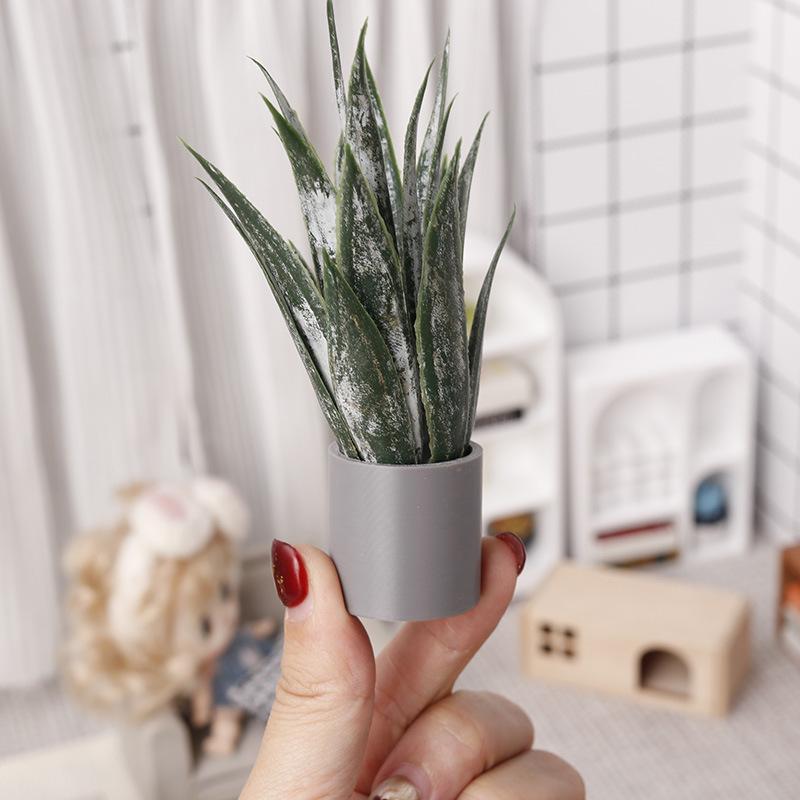 Ornamen Tanaman Lidah Buaya Mi - Aloe Vera Pot ulasan dan harga