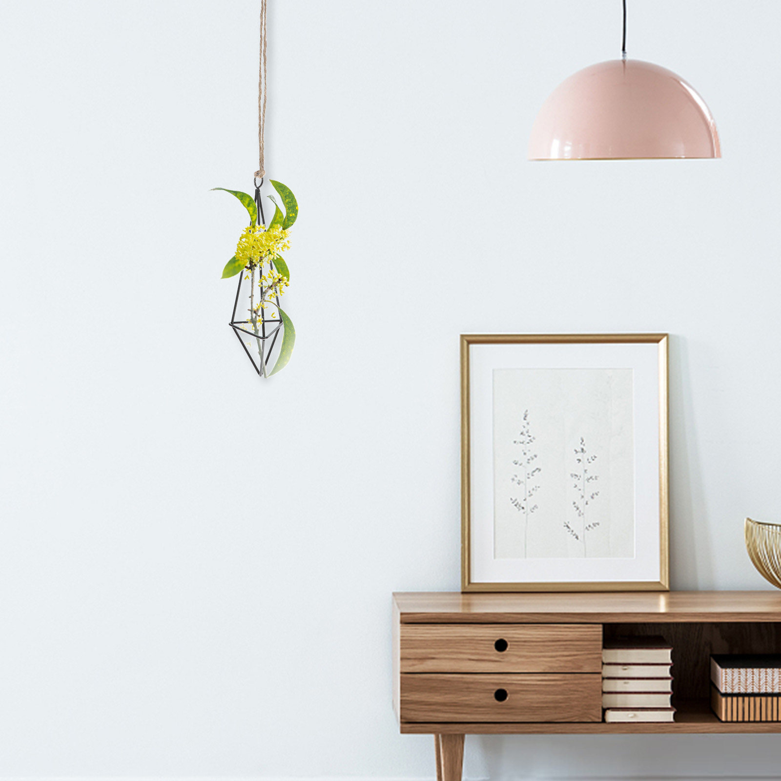 Penyangga Tanaman Udara Gantun - Spider Plant Hanging ulasan dan harga