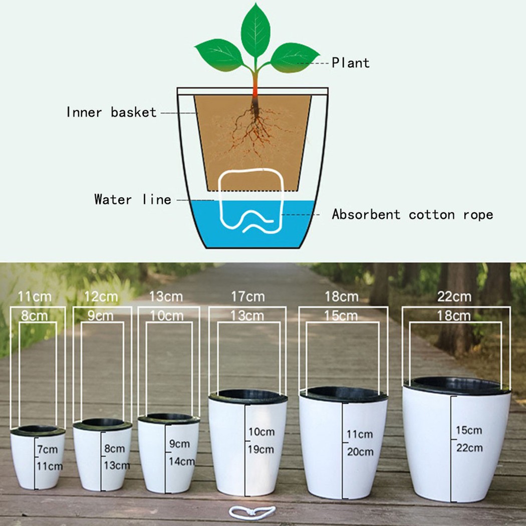 Pot tanaman bunga imitasi, Pot - Aloe Vera Pot ulasan dan harga