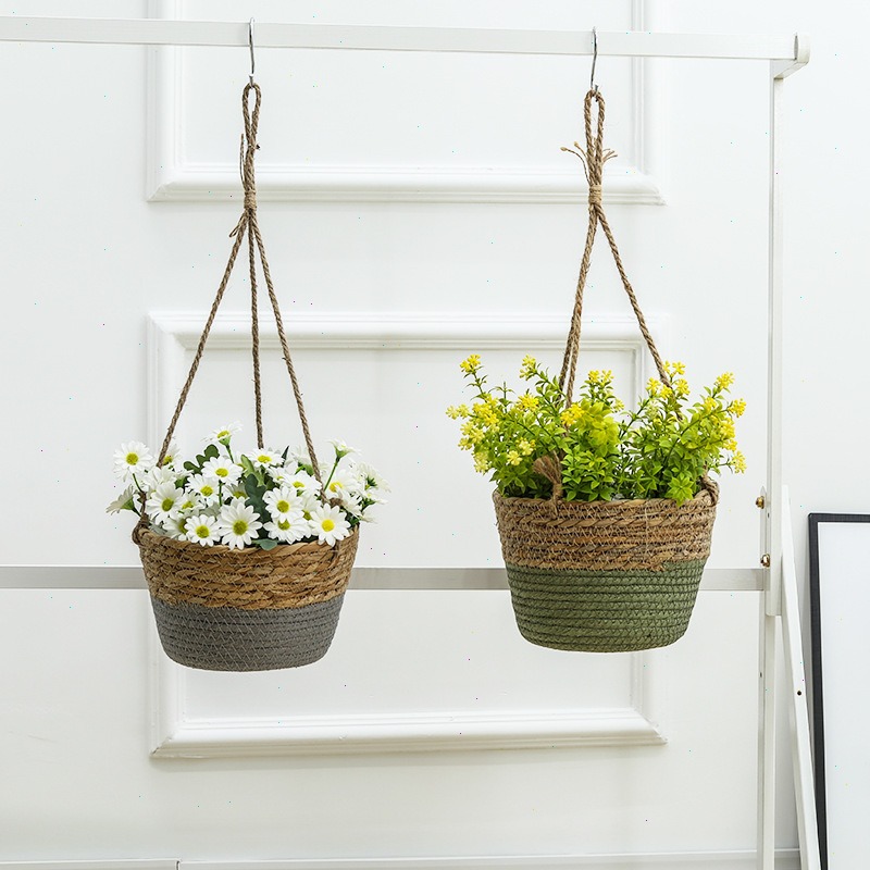 Keranjang Gantung Jerami Pot B - Spider Plant Hanging ulasan dan harga